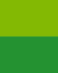 Verde kiwi/Verde